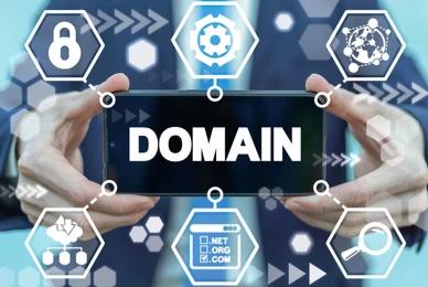 Domain Registration & Management